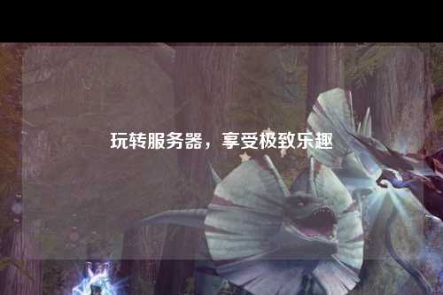 玩轉(zhuǎn)服務(wù)器，享受極致樂趣