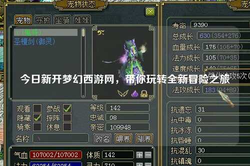 今日新開夢幻西游網，帶你玩轉全新冒險之旅