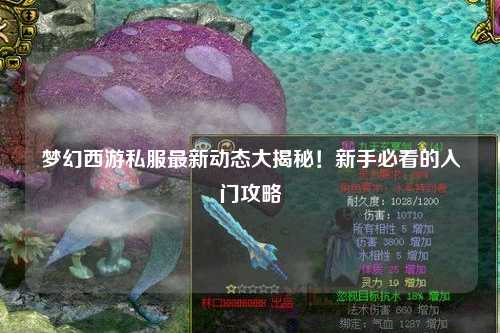 夢幻西游私服最新動態(tài)大揭秘！新手必看的入門攻略